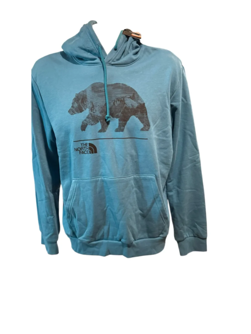 Men's The North Face Hoodie XL Blue Bear Graphic